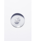 Kérastase Chronologiste Bain Régénérant 250ml  | Celini.be