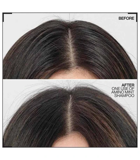 Redken Amino Mint Shampooing 300ml  | Celini.be