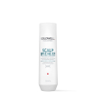 Dualsenses Scalp Specialist Shampooing Anti-Pelliculaire 250ml
