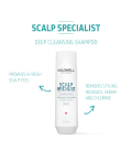 Goldwell Dualsenses Scalp Specialist Shampooing Purifiant 250ml  | ...