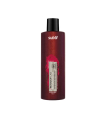 Retouch'Lab Shampooing Repigmentant Rouge 250ml