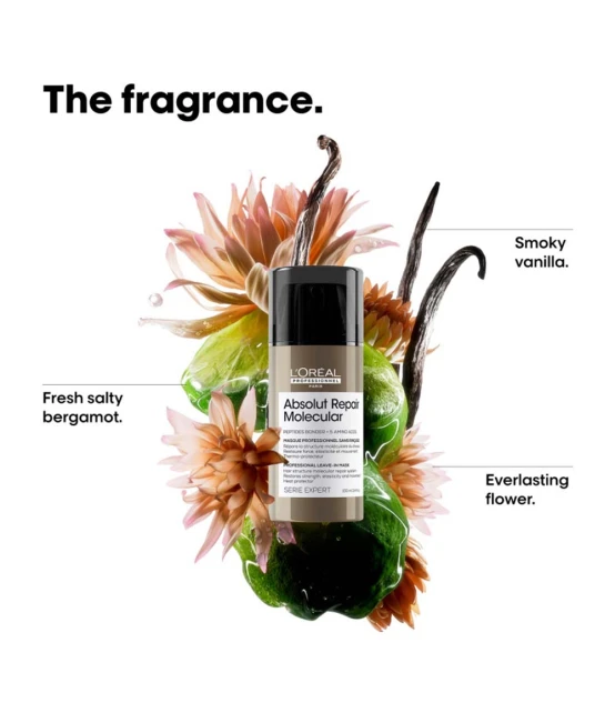 L'Oréal Professionnel Série Expert Absolut Repair Molecular Masque ...