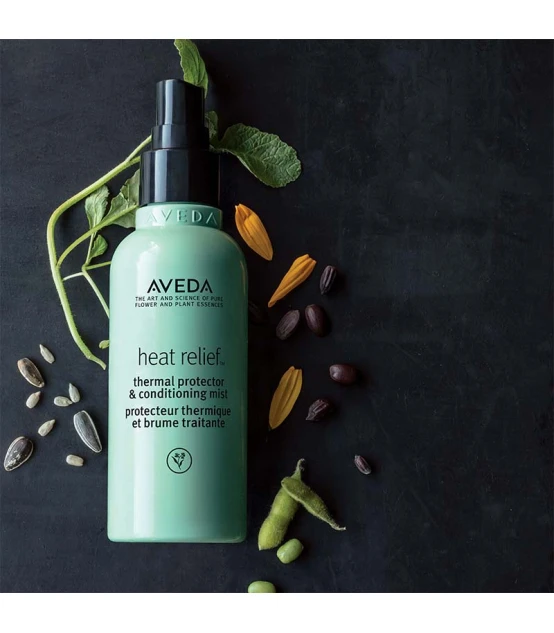 Aveda Heat Relief Protecteur Thermique Et Brume Traitante 100ml  | ...