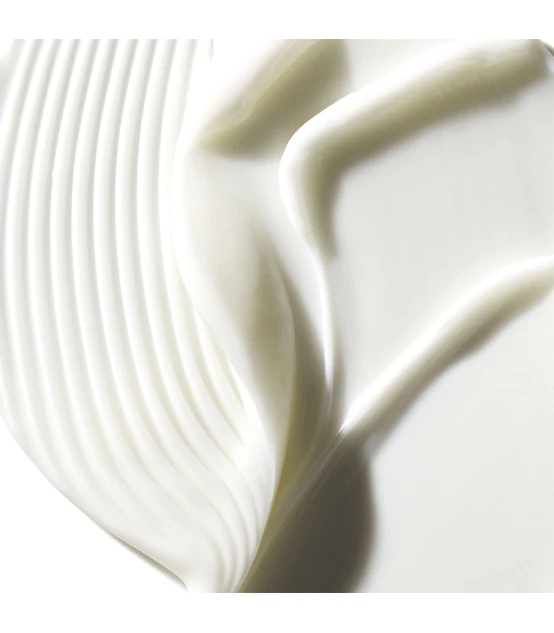 Aveda Color Control Conditioner 1000ml  | Celini.be