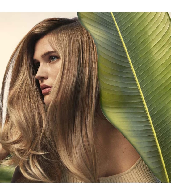 Aveda Nutriplenish Multi-Use Hair Oil 30ml  | Celini.be