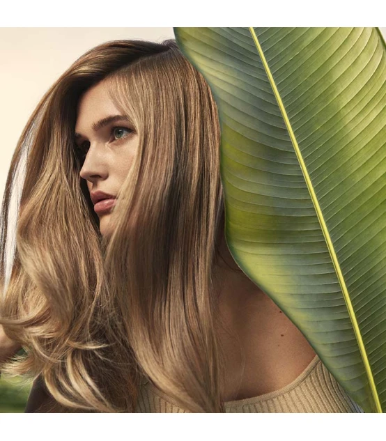Aveda Nutriplenish Conditioner Light Moisture 1000ml  | Celini.be