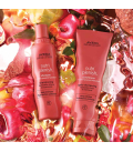 Aveda Nutriplenish Shampoo Deep Moisture 1000ml  | Celini.be