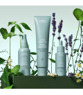 Aveda Scalp Solutions Exfoliating Scalp Treatment 150ml  | Celini.be