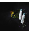 Aveda Shampure Nurturing Shampoo 250ml  | Celini.be