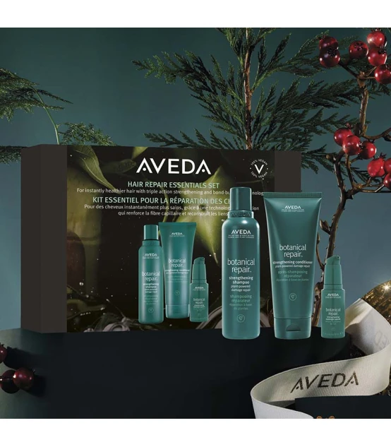 Aveda Kit Essentiel Botanical Repair  | Celini.be