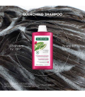 Klorane Dorstlessende Shampoo met Cactusvijg 400ml  | Celini.be