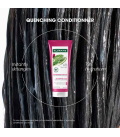 Klorane Dorstlessende Conditioner met Cactusvijg 200ml  | Celini.be