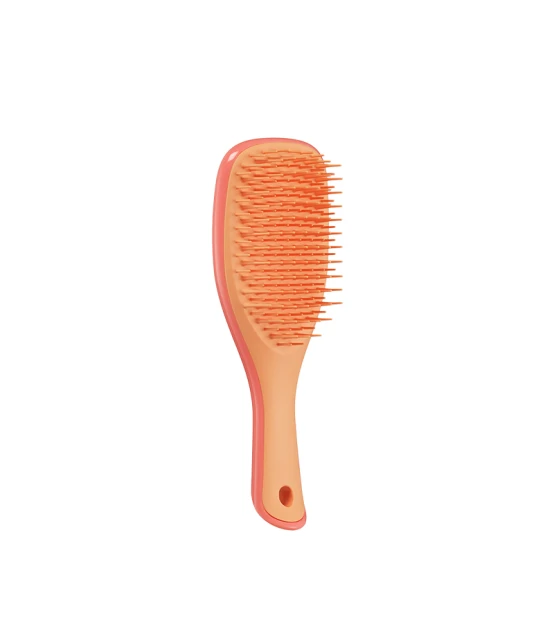 The Ultimate Detangler Mini Salmon Pink & Apricot