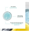 René Furterer Head Spa Astera Soothing Concentrate 50ml  | Celini.be