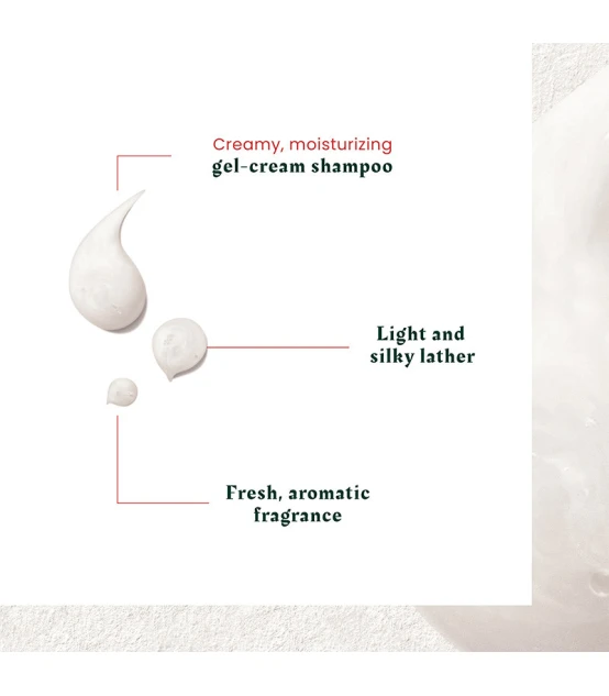 René Furterer Neopur Shampooing Antipelliculaire Équilibrant Pellic...