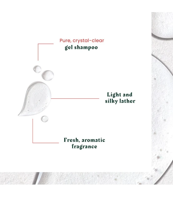René Furterer Neopur Anti-dandruff Balancing Shampoo Oily Flaking 1...