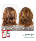 Klorane Shampooing à la Grenade 400ml  | Celini.be