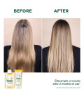 Klorane Shampooing à la Camomille 400ml  | Celini.be