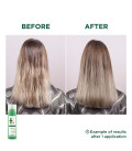 Klorane Shampooing Sec Séboréducteur à l'Ortie 150ml  | Celini.be
