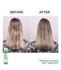 Klorane Shampooing Sec Séboréducteur à l'Ortie teinté - Cheveux bru...