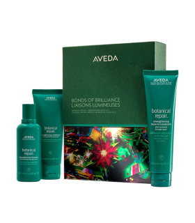Aveda Coffret Bonds of Brilliance Botanical Repair  | Celini.be