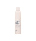 Authentic Beauty Concept Dry Shampoo 250ml  | Celini.be