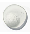 Authentic Beauty Concept Hydrate Cleanser 300ml  | Celini.be